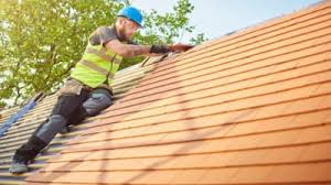 Best Roof Moss and Algae Removal  in Earlysville, VA