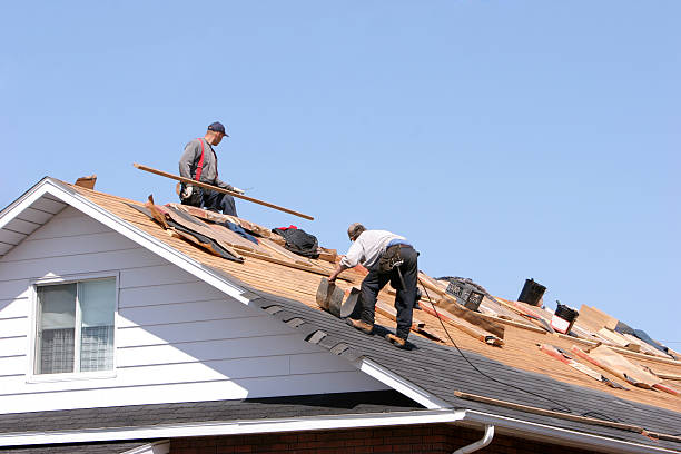 Best Siding  in Earlysville, VA